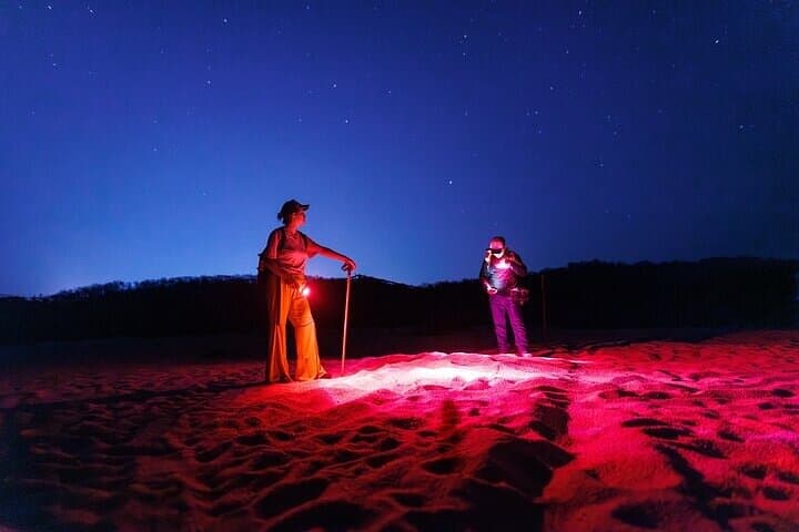 Night Turtle Monitoring Walk in Huatulco National Park photo 1