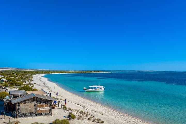 A Day at Dirk Hartog Island — Island Life Adventures from Denham photo 2