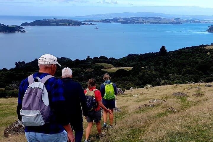 Waiheke Island 5-Day Self-Guided Walking Adventure on Te Ara Hura photo 1