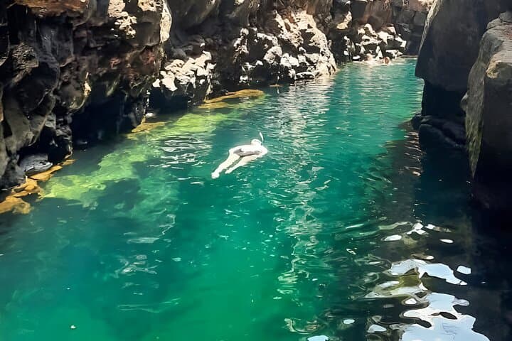 Santa Cruz Bay Half-Day: Snorkel The Cracks, Shark Channel & Franklin Bay photo 3