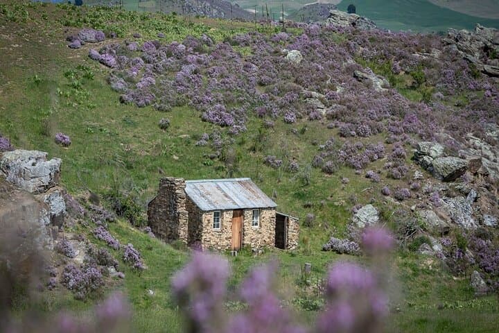 Dunedin to Queenstown via Taieri Gorge Train — One-Day Scenic Journey through Central Otago photo 4