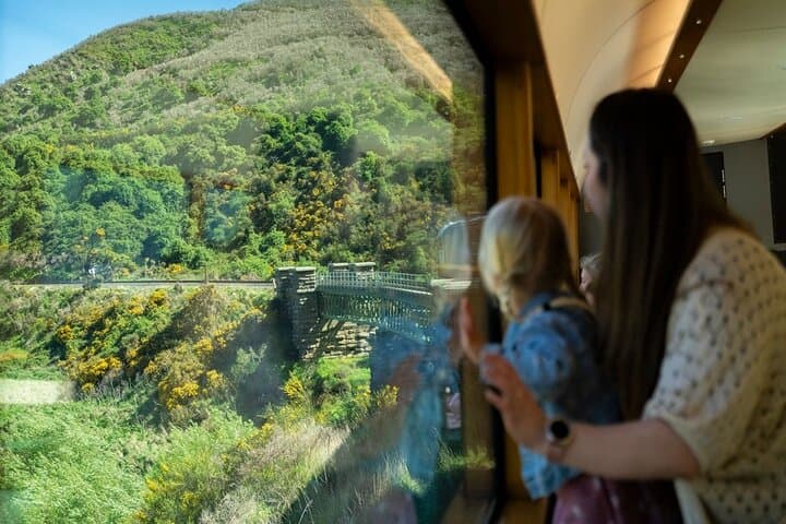 Queenstown to Dunedin: Taieri Gorge Train One-Way Scenic Journey photo 3
