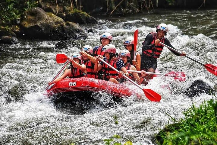 Ubud Ayung River Rafting with Lunch: Scenic Ayung River Whitewater Adventure
