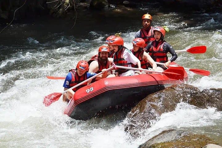 Ubud Ayung River Rafting with Lunch: Scenic Ayung River Whitewater Adventure photo 5