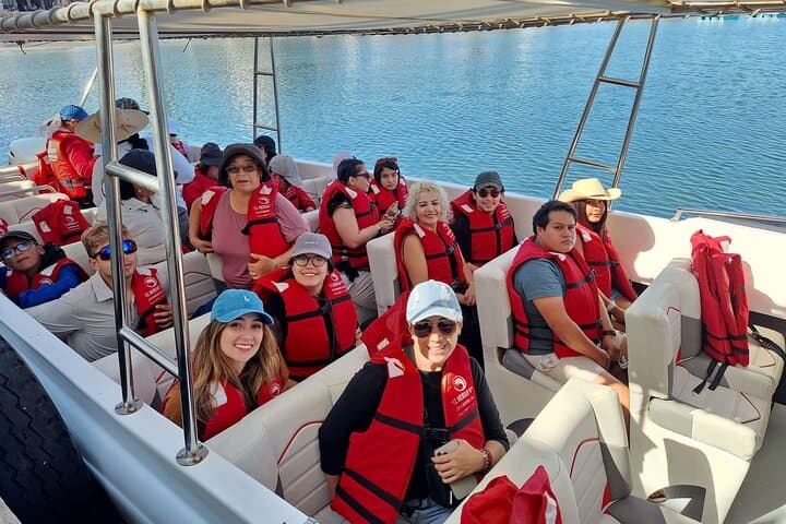 Paracas & Huacachina Full-Day: Ballestas Islands, Dunes, and Pisco Tasting photo 3