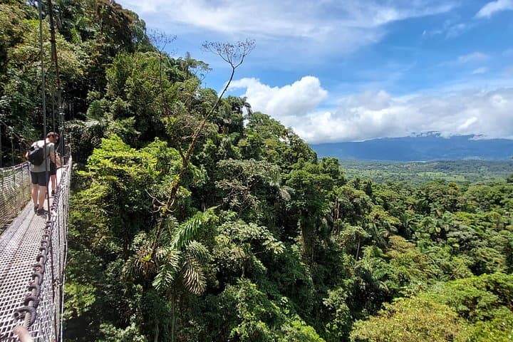 Arenal Hanging Bridges and Horseback Ride: Mistico Park Volcano Views photo 3