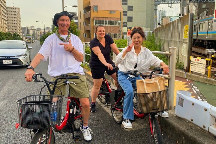 Tokyo Night E‑Bike Tour: Dolphin Show, Temples & Tokyo Tower Top Deck