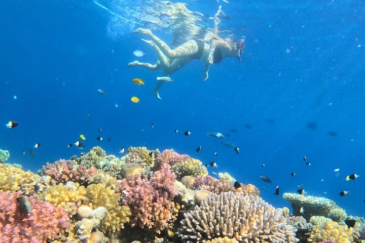 Paradise Island Speedboat Tour from Hurghada: Snorkel, Sunbathe & Lunch on the Red Sea photo 5