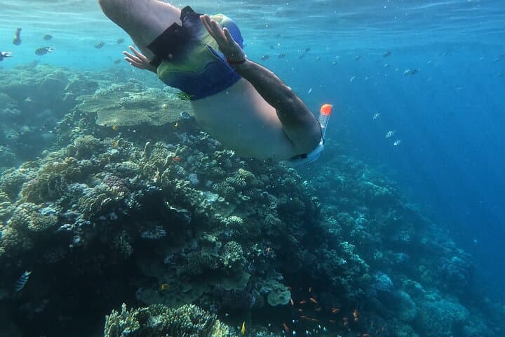 Paradise Island Speedboat Tour from Hurghada: Snorkel, Sunbathe & Lunch on the Red Sea photo 3
