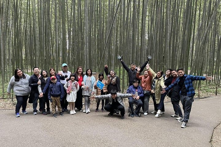 7-Day Private Japan UNESCO World Heritage Tour from Osaka to Hiroshima photo 2