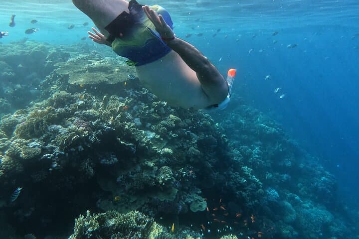 Hula Hula Island Private Speedboat Tour — Hurghada Snorkeling & Beach Escape photo 4
