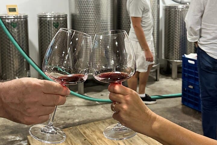 Miron's Winery Skopje: Hands-On Wine Tasting & Cellar Tour photo 5