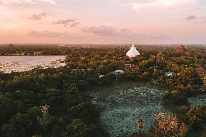 11-Day Sri Lanka Explorer: Anuradhapura to Trincomalee, Kandy & Ella (Entry Fees Included) photo 3