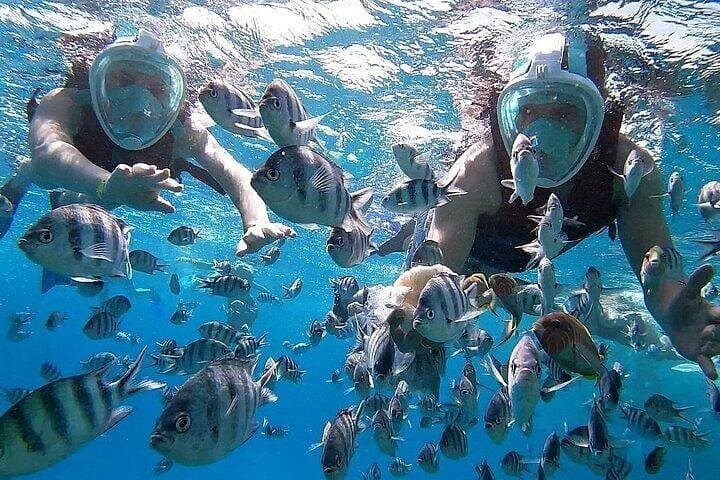 Hula Hula Island Day Trip from Hurghada — Snorkel, Swim & Beach Lunch photo 2