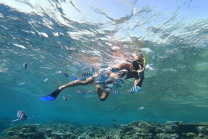 Hula Hula Island Day Trip from Hurghada — Snorkel, Swim & Beach Lunch photo 6