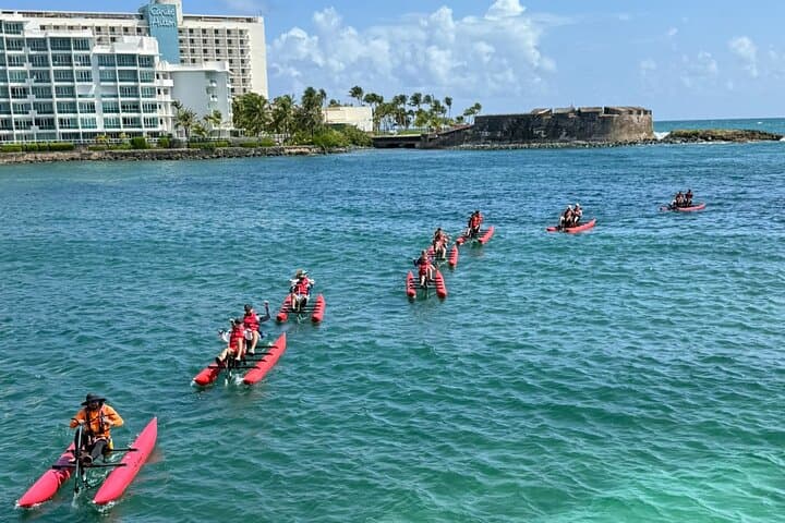 Pedal Condado Lagoon: Chiliboats Waterbike Eco-Tour in San Juan photo 5