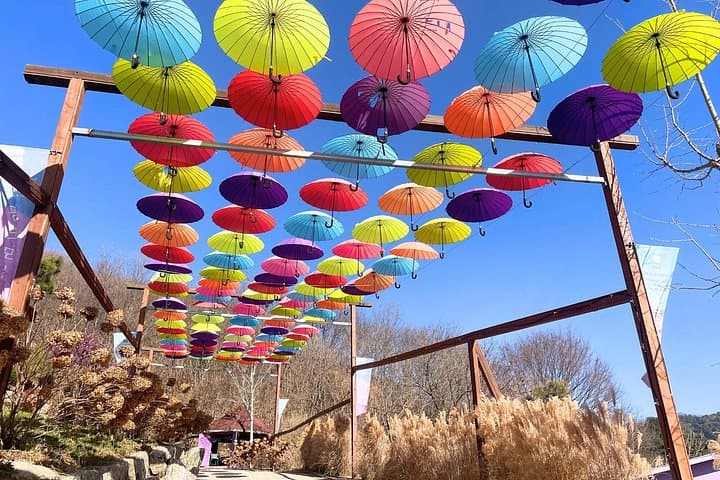 Pocheon Highlights: Y-Bridge & Herb Island Day Tour from Seoul photo 5