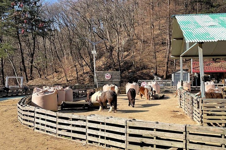 Pocheon Highlights: Y-Bridge & Herb Island Day Tour from Seoul photo 6