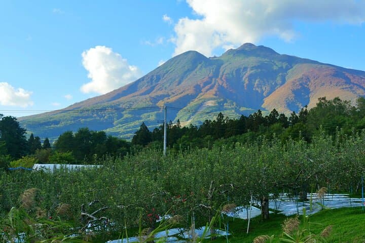 Tsugaru Fuji Drive: Mt. Iwaki Skyline, Iwakiyama Shrine & Tsurunomai Bridge from Aomori Port photo 2