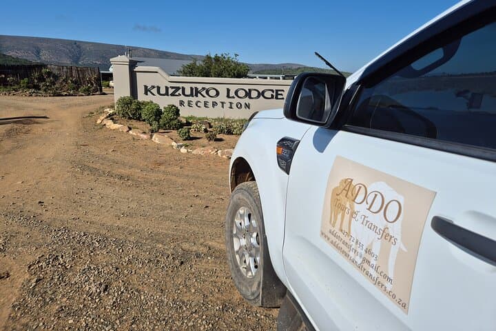 Private Transfers in Port Elizabeth (Gqeberha): Airport & Accommodation Pickup photo 5