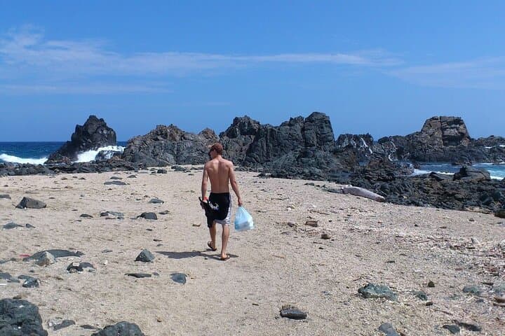 Aruba Highlights: 7-Day Island Adventure — Beaches, Arikok & Natural Pool