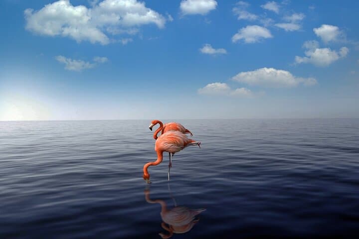 Aruba Highlights: 7-Day Island Adventure — Beaches, Arikok & Natural Pool photo 2