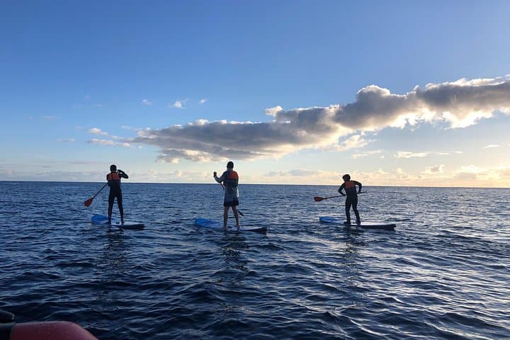 Half-Day Sail, Snorkel & Stand Up Paddle in São Miguel (Azores) photo 2