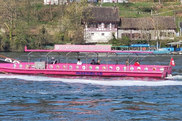 Rhine Falls and Stein am Rhein: Private Day Tour from Zurich photo 2