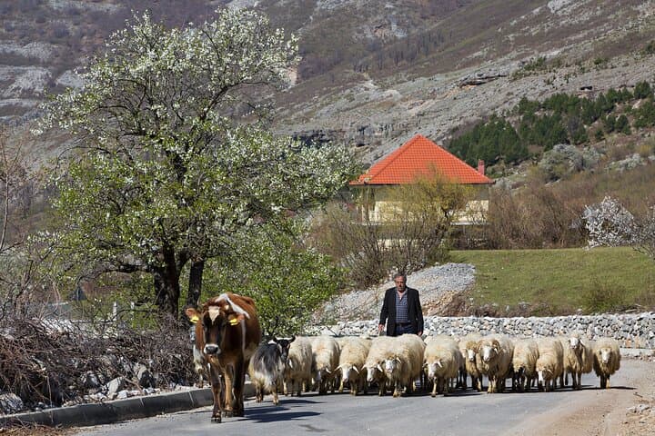 Self-Drive Albanian Alps Off-Road: 7-Day Peaks & Valleys Adventure