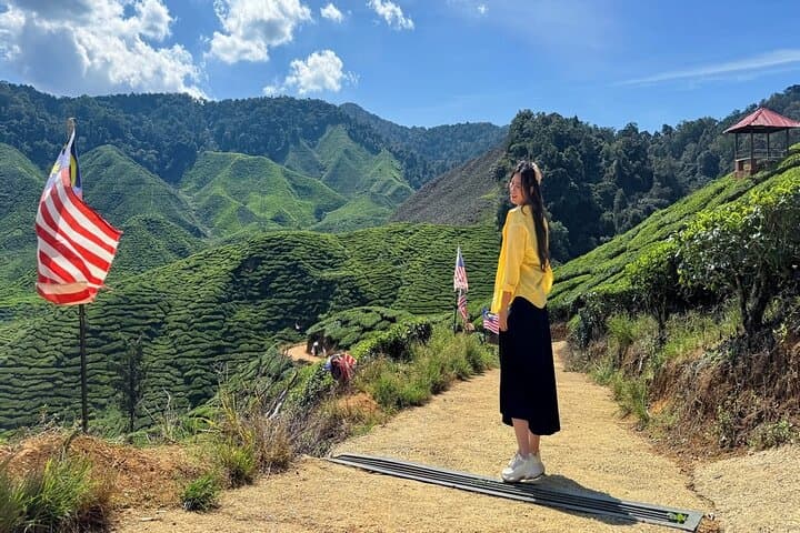 Cameron Highlands Full-Day Private Tour from Kuala Lumpur — Tea Plantations, Strawberry Farms & Waterfalls