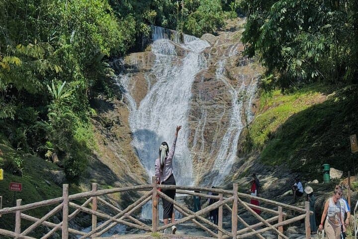 Cameron Highlands Full-Day Private Tour from Kuala Lumpur — Tea Plantations, Strawberry Farms & Waterfalls photo 3