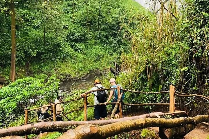 Materuni Waterfalls and Coffee Tour from Arusha — Day Trip to Kilimanjaro Foothills photo 5