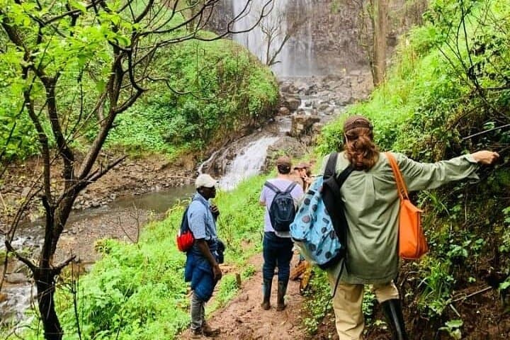 Materuni Waterfalls and Coffee Tour from Arusha — Day Trip to Kilimanjaro Foothills photo 6