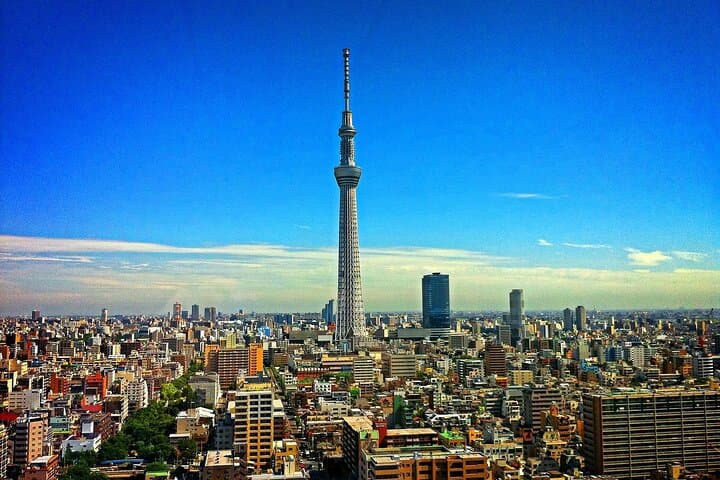 Akihabara Anime & Gaming Walking Tour with Maid Café Experience