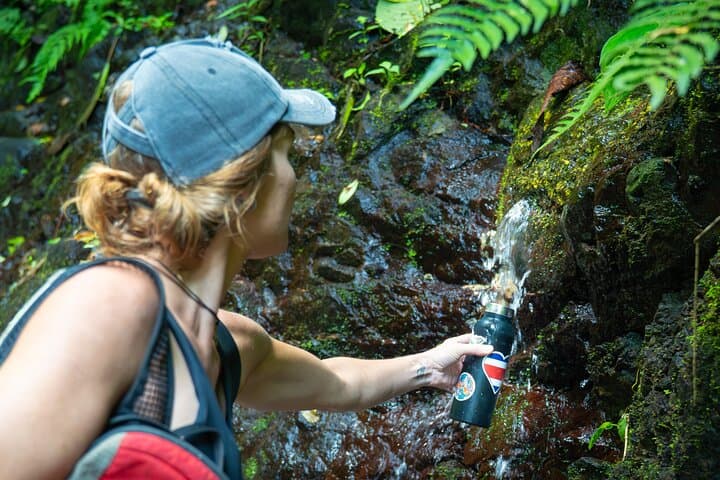 Jaco Waterfall Tour: Seven Falls, Riverwalk & Mountain Climb in Costa Rica photo 2