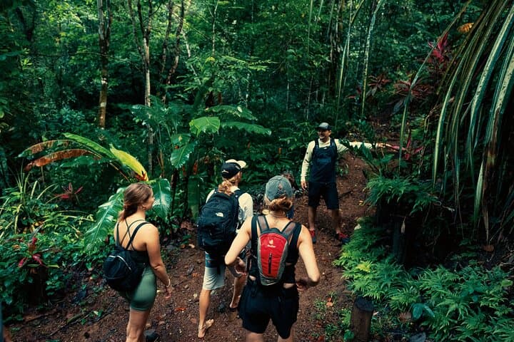 Jaco Waterfall Tour: Seven Falls, Riverwalk & Mountain Climb in Costa Rica