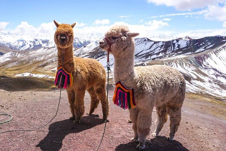 Palcoyo Mountain Day Tour from Cusco — Rainbow Mountains & Stone Forest photo 2
