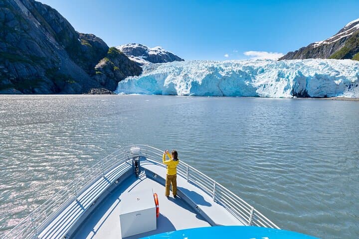 Captain's Choice Kenai Fjords Cruise from Seward: 7‑Hour Glacier & Wildlife Tour