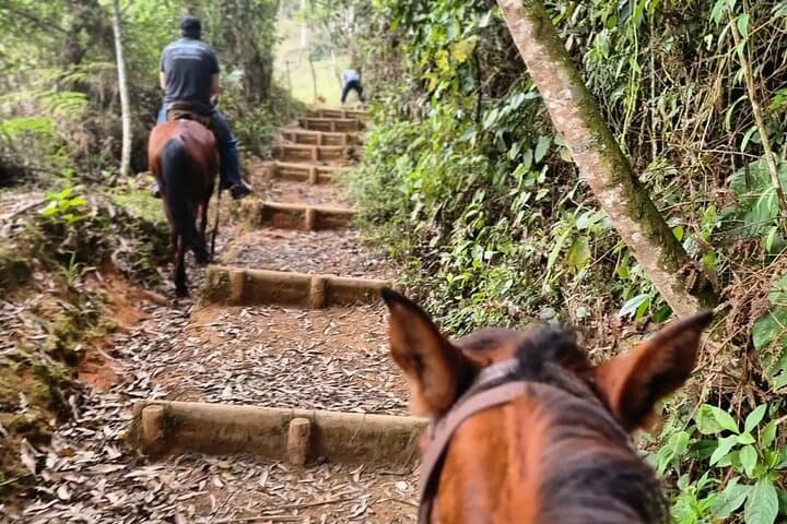Horseback Riding in Guarne: 3-Hour Scenic Trail near Medellín photo 2