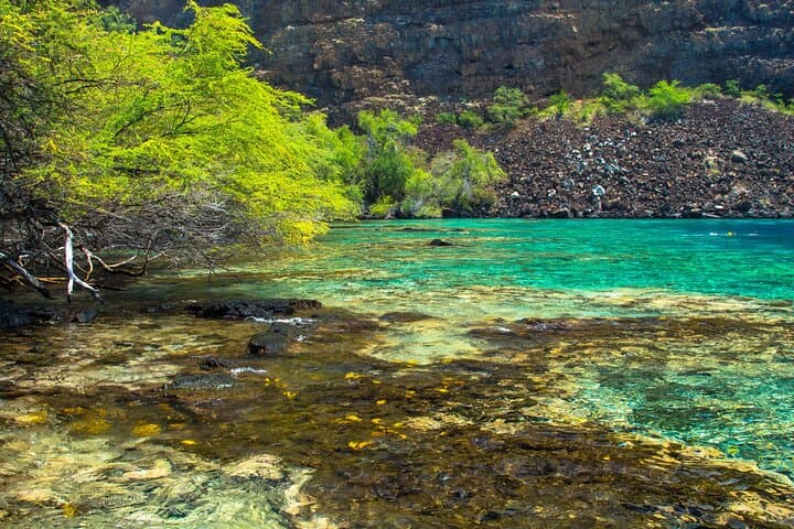 Snorkeling Kealakekua Bay: Exploring Hawaii’s Marine Sanctuary with Small Groups photo 4