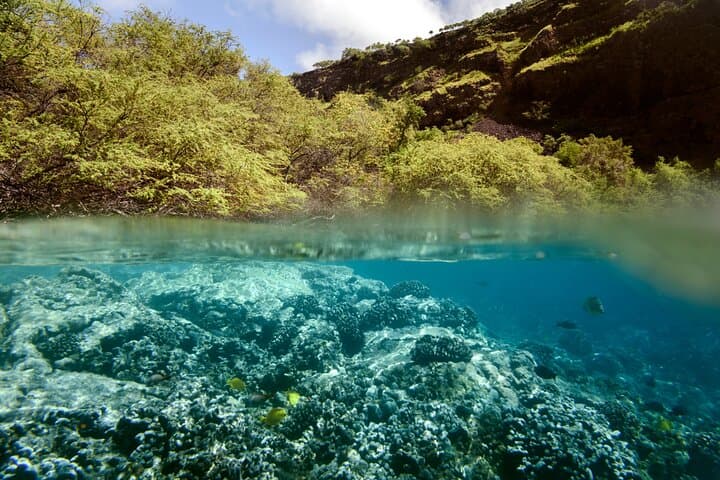 Snorkeling Kealakekua Bay: Exploring Hawaii’s Marine Sanctuary with Small Groups photo 5