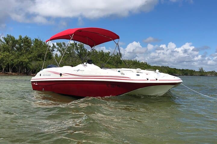 Key Largo Dolphin Day Tour — 1-Hour Boat Rental with Captain photo 6