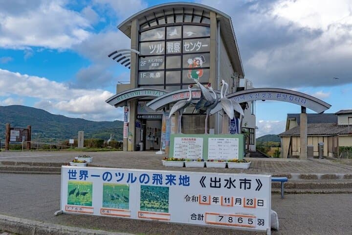 Kagoshima Crane Watching Tour: Izumi's Winter Migration Guide photo 4