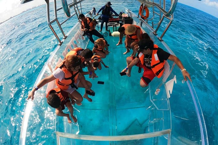Clear-Boat Tour in Cancun: Glass-Bottom Cruise to El Blanquizal and Reef photo 1