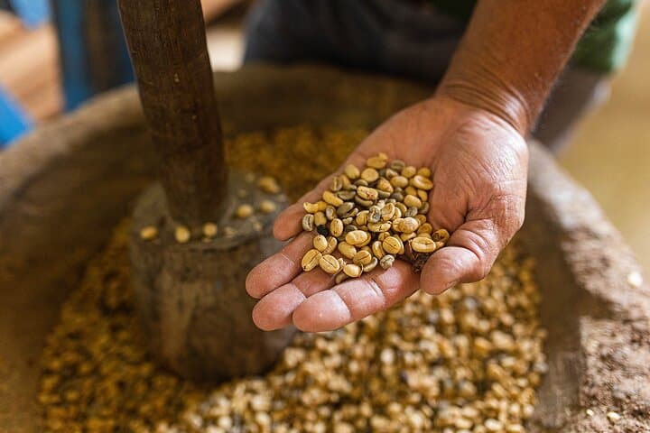 Monteverde Cloud Forest Coffee Farm Tour: Organic Coffee, Monkeys & Quaker History photo 6