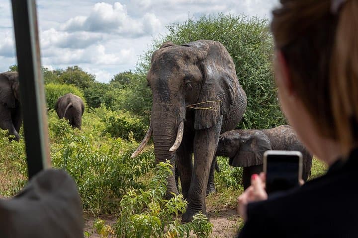 Chobe Day Trip from Livingstone: River Cruise and Game Drive in One Day photo 1