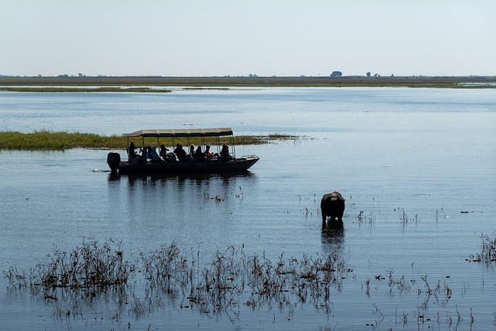 Chobe Day Trip from Livingstone: River Cruise and Game Drive in One Day photo 2