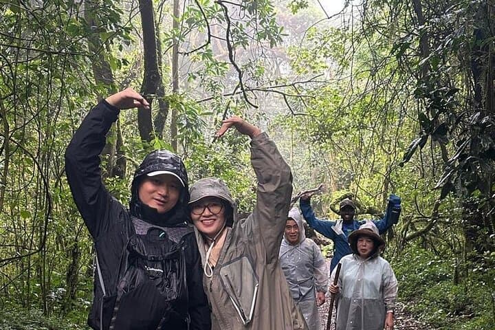Mount Kilimanjaro Day Hike: Rainforest Trails and Summit Views Near Moshi photo 2