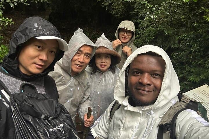 Mount Kilimanjaro Day Hike: Rainforest Trails and Summit Views Near Moshi photo 3