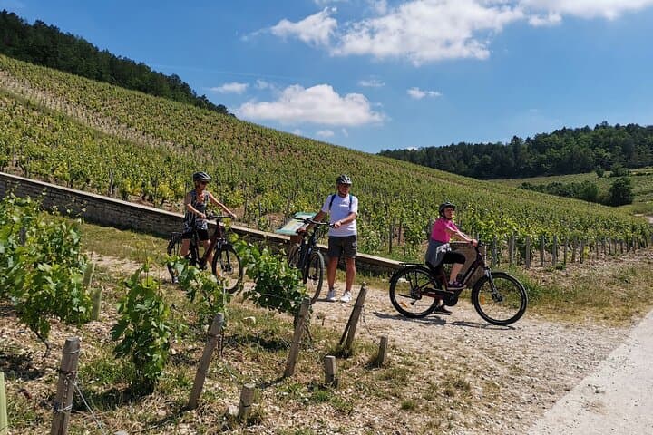 E-bike Through the Chablis Vineyards: Guided 3‑Hour Tour with Tastings photo 6